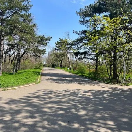 Apartment Elena Arcadia Sea View *